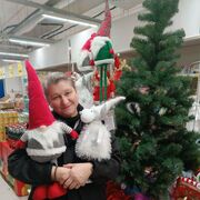 ���������� �������, ���� ������� �������, 56 ���, ������������ ��� c�������� ���������