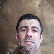  ,   , 41 ,   
