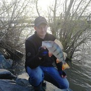 ���������� ������, ���� ������� �����, 38 ���, ������������ ��� ������, ����� � ���������, c�������� ���������