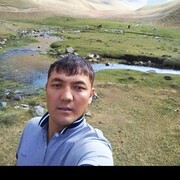  ,     , 37 ,   ,   