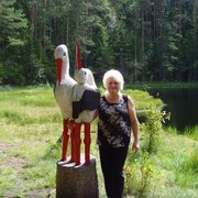 ���������� �����, ���� ������� �������, 71 ���, ������������ ��� c�������� ���������