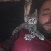  ,   Polo, 36 ,   ,   