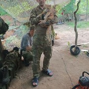 ���������� ������������, ���� ������� �����, 38 ���, ������������ ��� ������, ����� � ���������, c�������� ���������, ���������