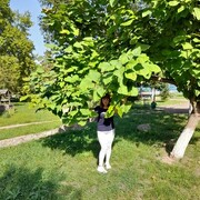  ,   , 40 ,   c 