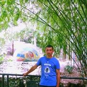 ���������� ����-���������, ���� ������� �������, 40 ���, ������������ ��� c�������� ���������