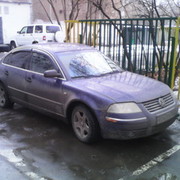 ���������� �����, ���� ������� All4, 43 ����, ������������ 