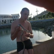 ���������� �������, ���� ������� Vegas, 36 ���, ������������ ��� ������, ����� � ���������, c�������� ���������