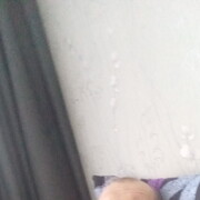 ���������� ���������, ���� ������� �����, 49 ���, ������������ ��� ������, ����� � ���������, ���������