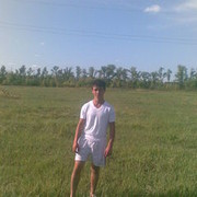  ,   tibr, 34 ,  