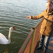  ,   , 58 ,   c 