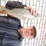 ���������� ���������, ���� ������� ����, 66 ���, ������������ ��� ������, ����� � ���������, c�������� ���������, ���������