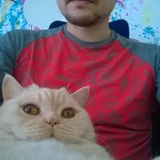  ,   , 40 ,   ,   , c 