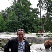  ,   , 53 ,   