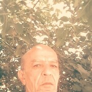  ,   Colak, 65 ,   ,   , c 