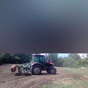 ���������� ������-��-����, ���� ������� ����, 33 ����, ������������ ��� ������, ����� � ���������, c�������� ���������