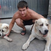  ,   Romeo1989, 35 ,   
