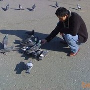 ���������� �������, ���� ������� Yashnar, 40 ���, ������������ ��� ������, ����� � ���������, c�������� ���������