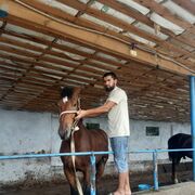  ,  Rasul, 27