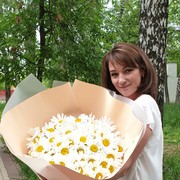  ,   , 26 ,  