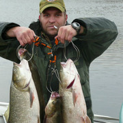 ���������� ��������, ���� ������� �������, 57 ���, ������������ ��� ������, ����� � ���������, c�������� ���������