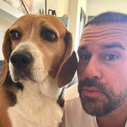 ���������� ������, ���� ������� ����, 40 ���, ������������ ��� ����� � ���������, c�������� ���������