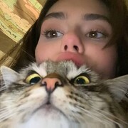  ,  , 22