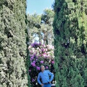 ���������� ���������, ���� ������� ��������, 45 ���, ������������ ��� ������, ����� � ���������, c�������� ���������, ���������