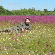 ���������� �����������, ���� ������� �����, 44 ����, ������������ ��� ������, ����� � ���������