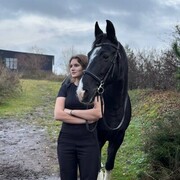 ���������� �����-���������, ���� ������� �������, 20 ���, ������������ ��� ������, ����� � ���������