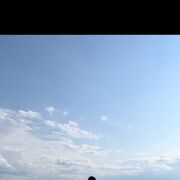 ���������� �����-���������, ���� ������� ������, 33 ����, ������������ ��� ������, ����� � ���������