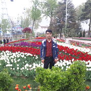 ���������� ������ ��������, ���� ������� ����, 27 ���, ������������ ��� ������, ����� � ���������