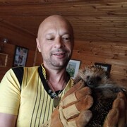 ���������� �������, ���� ������� �������, 48 ���, ������������ ��� ������