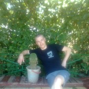 ���������� ��������, ������� ������, 37