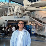 ���������� �����-���������, ���� ������� �������, 27 ���, ������������ ��� ������, ����� � ���������