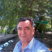  ,   , 74 ,   