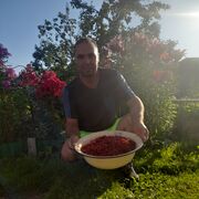 ���������� ������, ���� ������� Ven, 43 ����, ������������ ��� ������, ����� � ���������