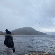  Valldal,   , 37 ,   ,   
