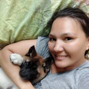 ���������� ���������, ������� ������, 38