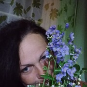 ���������� �����, ���� ������� �����, 46 ���, ������������ ��� ����� � ���������, c�������� ���������