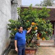  -,   Qabil, 48 ,   ,   