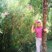  ,   , 57 ,     , c 