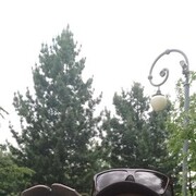 ���������� ���, ���� ������� ��������, 48 ���, ������������ ��� c�������� ���������