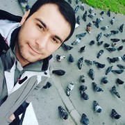 ���������� �����-���������, ���� ������� Bos, 33 ����, ������������ ��� ������, ����� � ���������, c�������� ���������