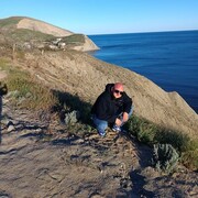 ���������� ������-��-����, ���� ������� ���������, 41 ���, ������������ ��� c�������� ���������