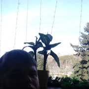  ,   , 46 ,   ,   , c 