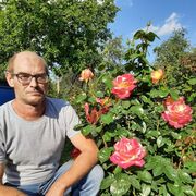 ���������� ����, ���� ������� �������, 45 ���, ������������ ��� c�������� ���������