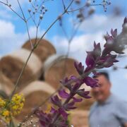 ���������� ���������, ������� ������, 44