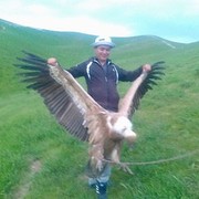 ���������� ������-����, ���� ������� ������, 37 ���, ������������ ��� ������