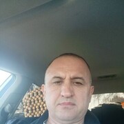   ,  , 46