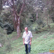  ,   Andro, 47 ,   ,   , c 